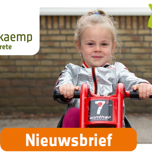 Nieuwsbrief no. 2 De Buuzekaemp